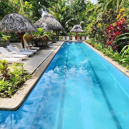Bluff Beach Retreat Бокас-дель-Торо Экстерьер фото