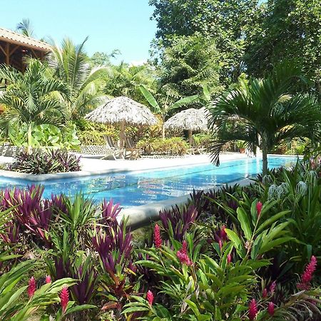 Bluff Beach Retreat Бокас-дель-Торо Экстерьер фото