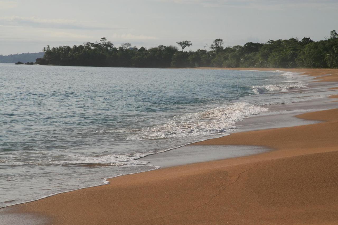 Bluff Beach Retreat Бокас-дель-Торо Экстерьер фото