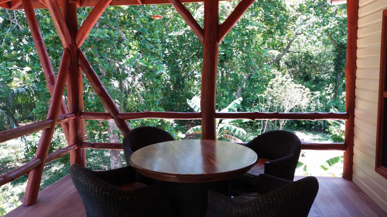 Bluff Beach Retreat Бокас-дель-Торо Экстерьер фото