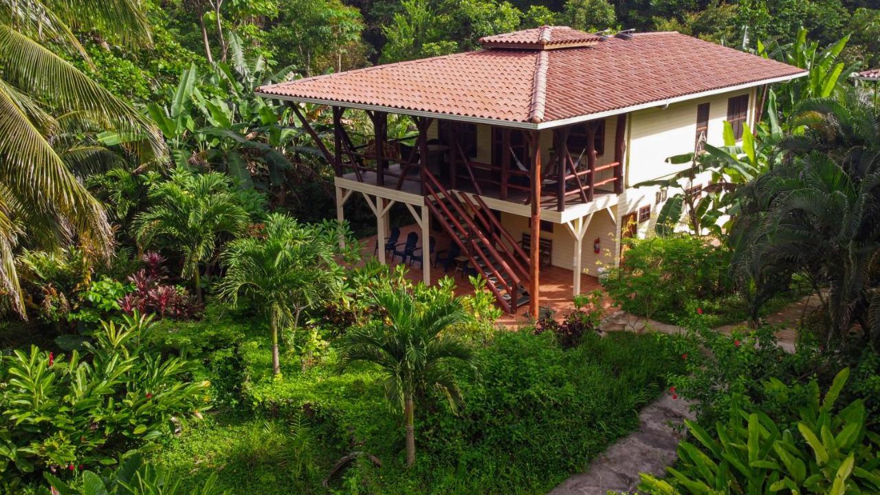 Bluff Beach Retreat Бокас-дель-Торо Экстерьер фото