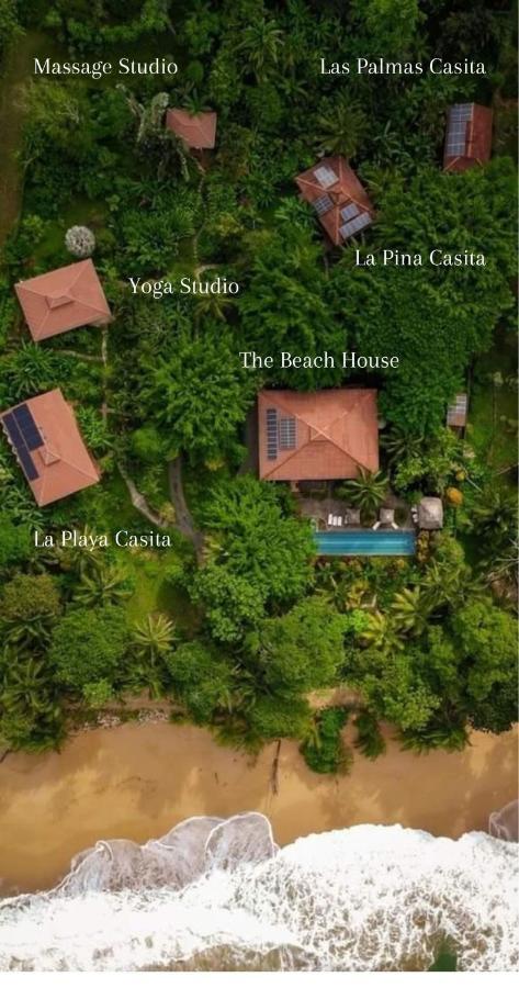 Bluff Beach Retreat Бокас-дель-Торо Экстерьер фото