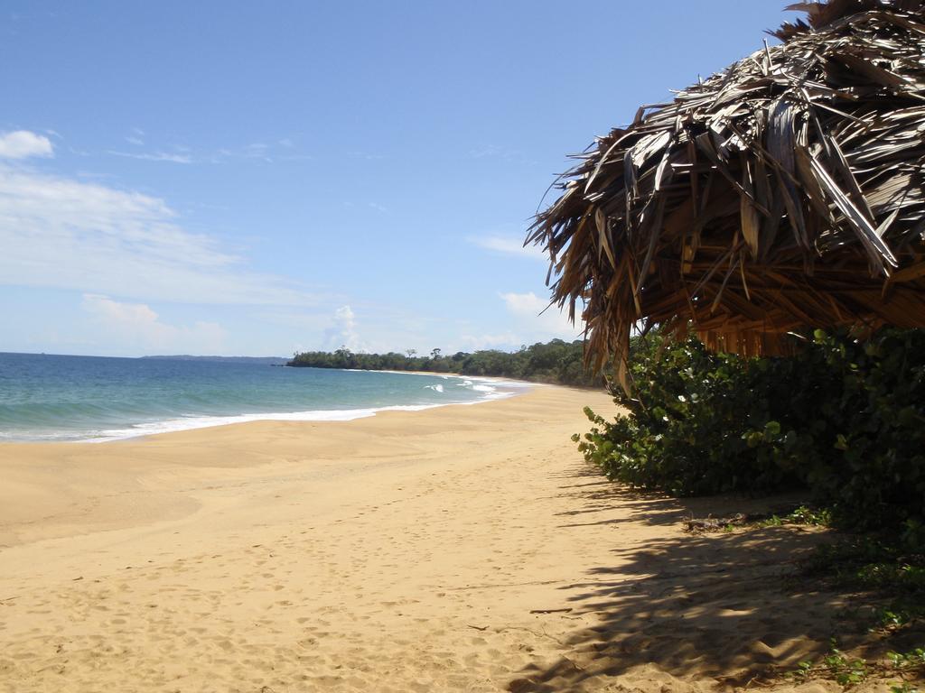 Bluff Beach Retreat Бокас-дель-Торо Экстерьер фото