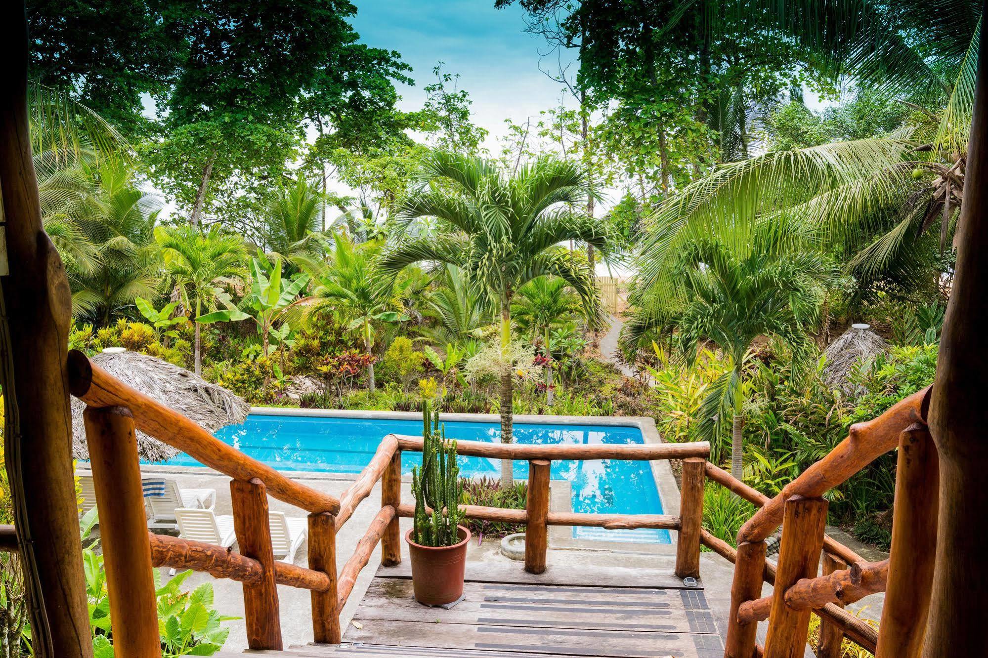 Bluff Beach Retreat Бокас-дель-Торо Экстерьер фото