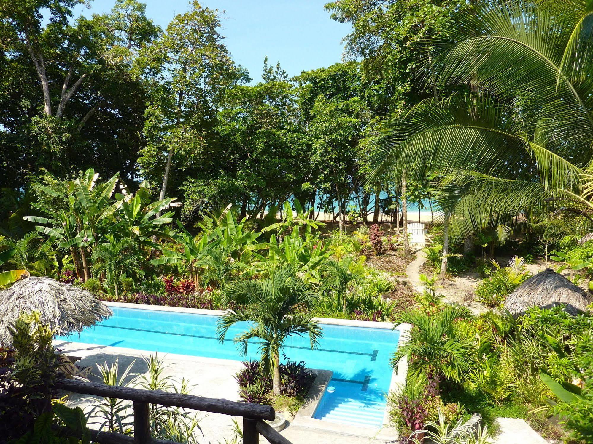 Bluff Beach Retreat Бокас-дель-Торо Экстерьер фото