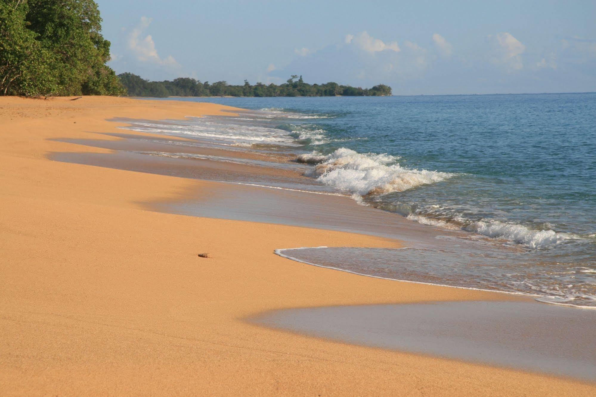 Bluff Beach Retreat Бокас-дель-Торо Экстерьер фото